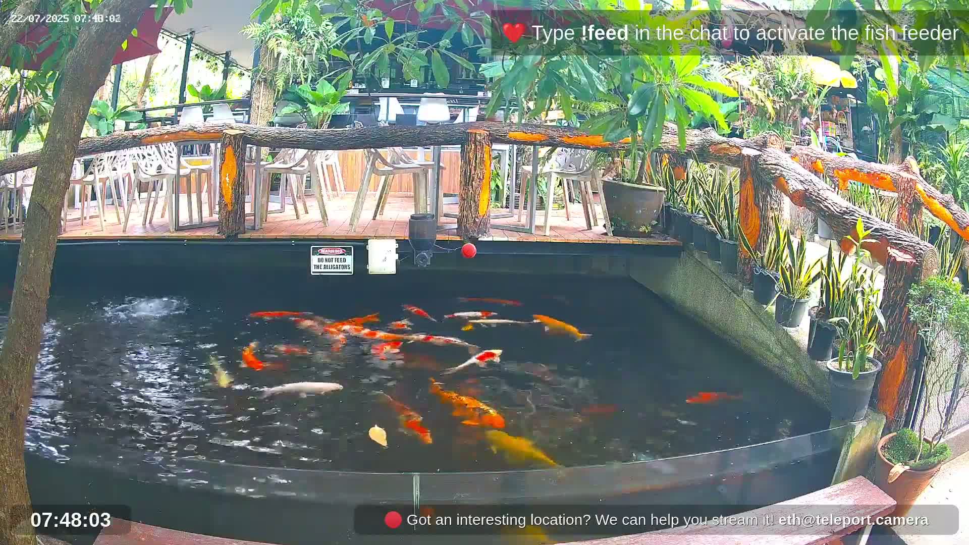 Zoo Cafe · Feed the Life of Fishes, Emus, Deers, Turtles, Malas  Live Cam  - Amphoe Ko Pha - Ngan, Surat Thani, Thailand