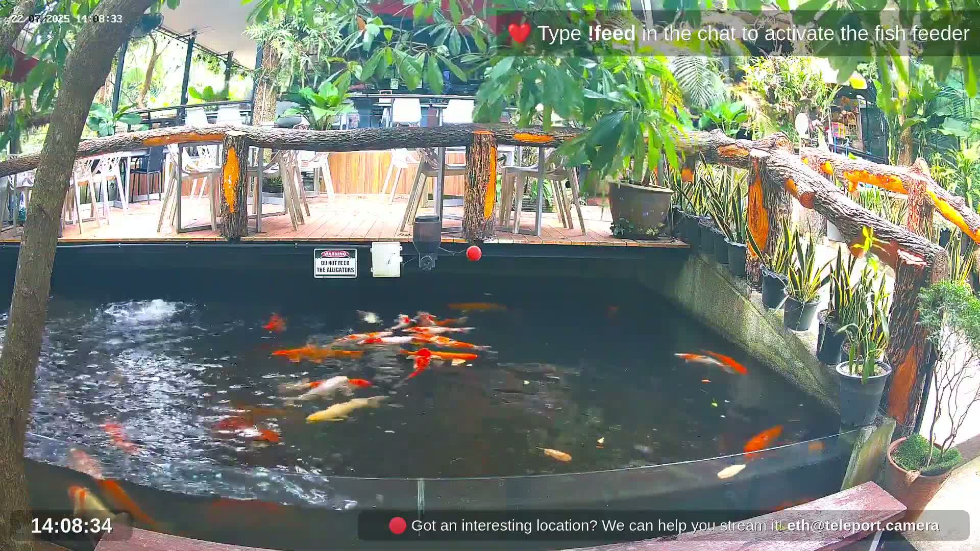 A pond filled with koi fish is situated below an outdoor patio area with wooden railings and several empty chairs.