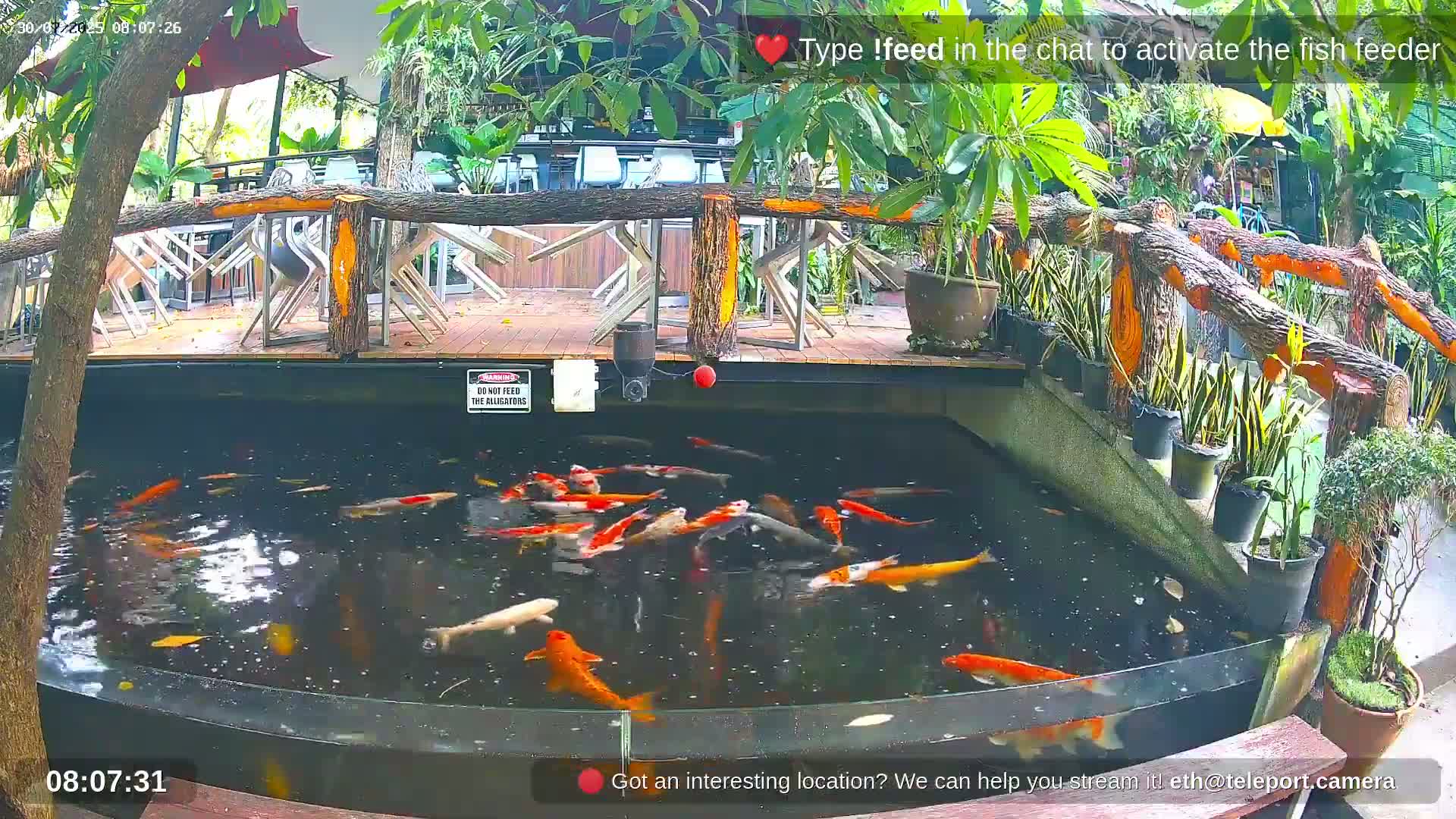 A pond filled with koi fish is situated below an outdoor patio area with wooden railings and several empty chairs.