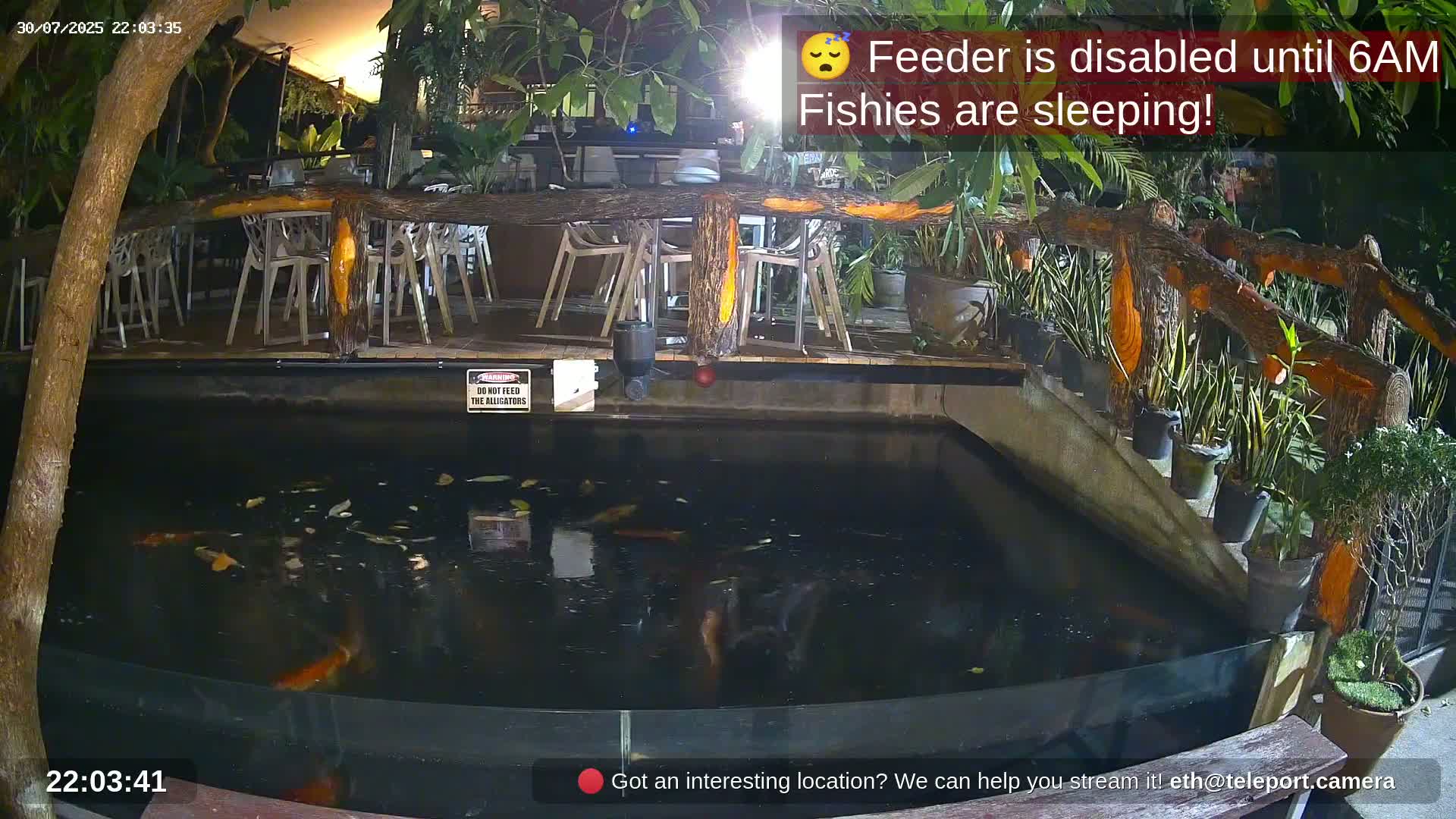 Zoo Cafe · Feed the Life of Fishes, Emus, Deers, Turtles, Malas  Live Cam  - Amphoe Ko Pha - Ngan, Surat Thani, Thailand