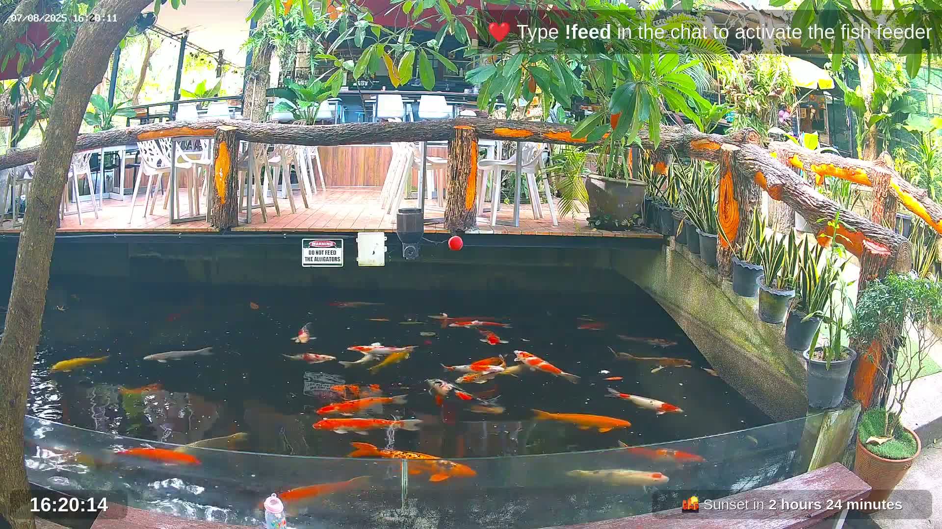 Zoo Cafe · Feed the Life of Fishes, Emus, Deers, Turtles, Malas  Live Cam  - Amphoe Ko Pha - Ngan, Surat Thani, Thailand