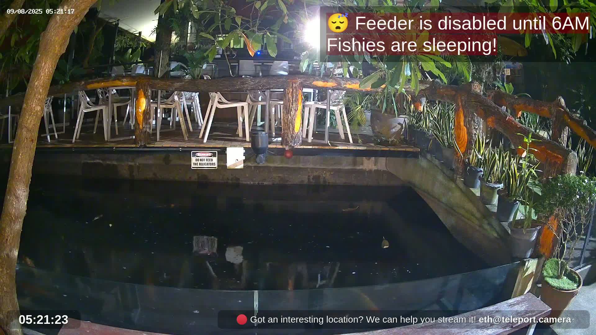 Zoo Cafe · Feed the Life of Fishes, Emus, Deers, Turtles, Malas  Live Cam  - Amphoe Ko Pha - Ngan, Surat Thani, Thailand