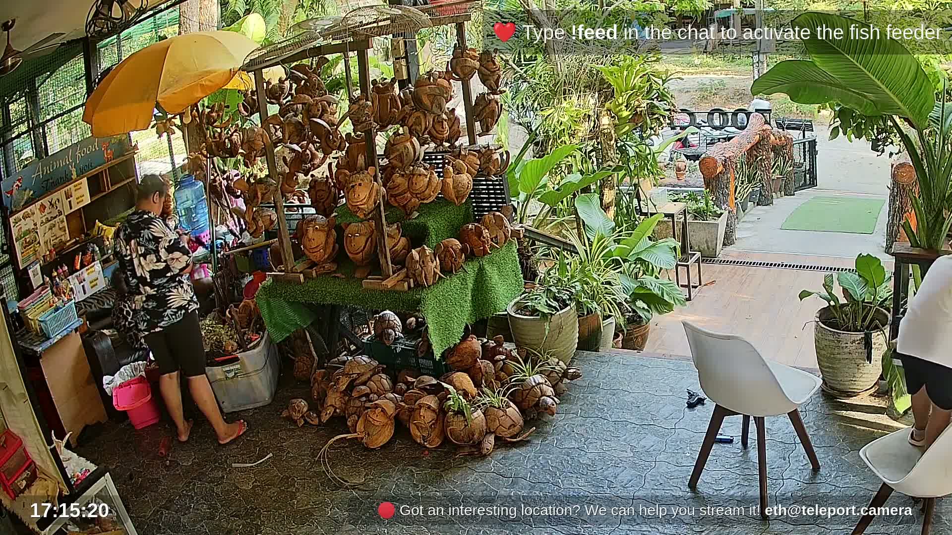 Zoo Cafe · Feed the Life of Fishes, Emus, Deers, Turtles, Malas  Live Cam  - Amphoe Ko Pha - Ngan, Surat Thani, Thailand