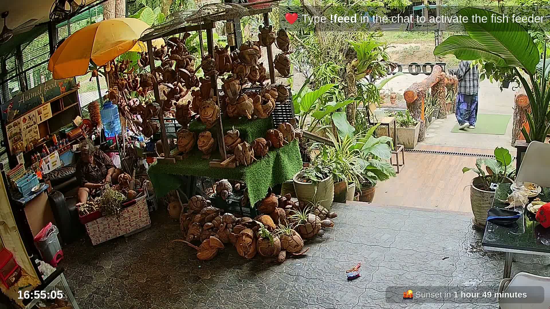 Zoo Cafe · Feed the Life of Fishes, Emus, Deers, Turtles, Malas  Live Cam  - Amphoe Ko Pha - Ngan, Surat Thani, Thailand
