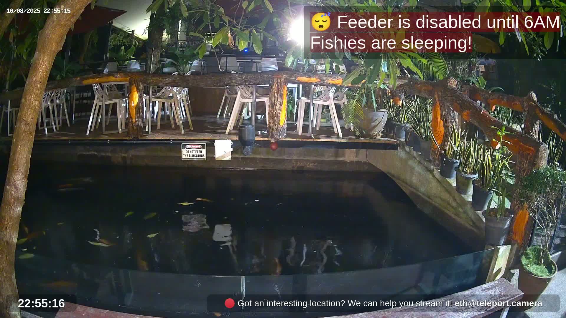 Zoo Cafe · Feed the Life of Fishes, Emus, Deers, Turtles, Malas  Live Cam  - Amphoe Ko Pha - Ngan, Surat Thani, Thailand