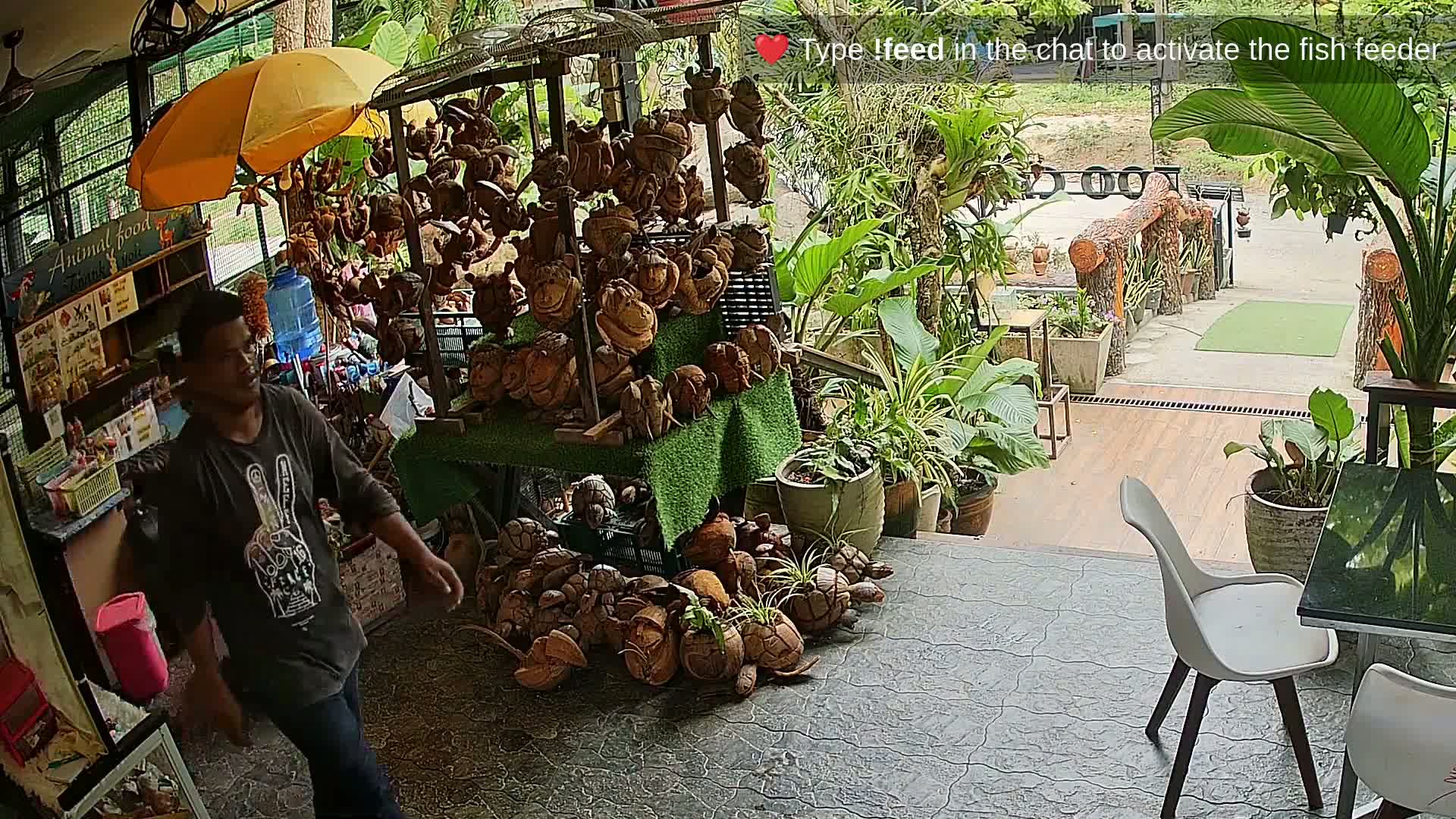 Zoo Cafe · Feed the Life of Fishes, Emus, Deers, Turtles, Malas  Live Cam  - Amphoe Ko Pha - Ngan, Surat Thani, Thailand