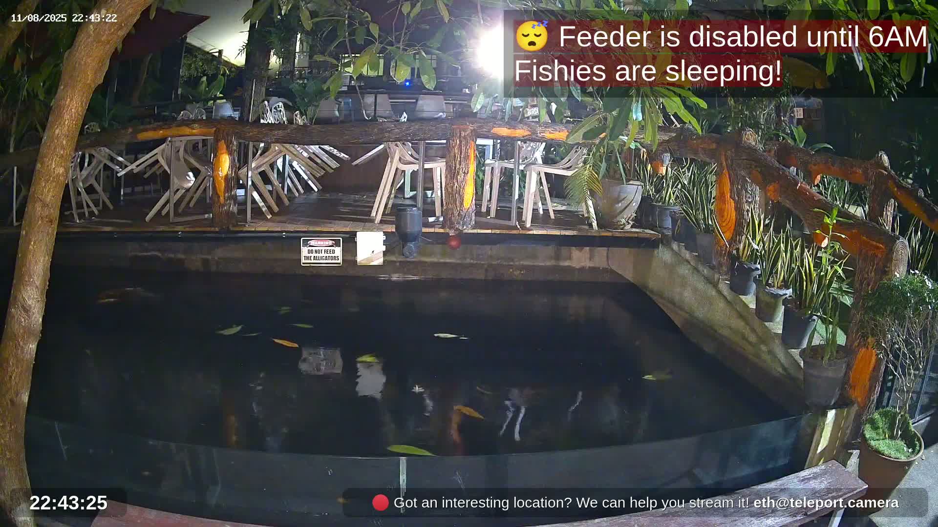 Zoo Cafe · Feed the Life of Fishes, Emus, Deers, Turtles, Malas  Live Cam  - Amphoe Ko Pha - Ngan, Surat Thani, Thailand