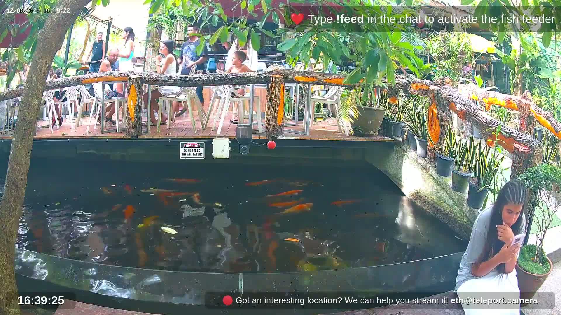 Zoo Cafe · Feed the Life of Fishes, Emus, Deers, Turtles, Malas  Live Cam  - Amphoe Ko Pha - Ngan, Surat Thani, Thailand
