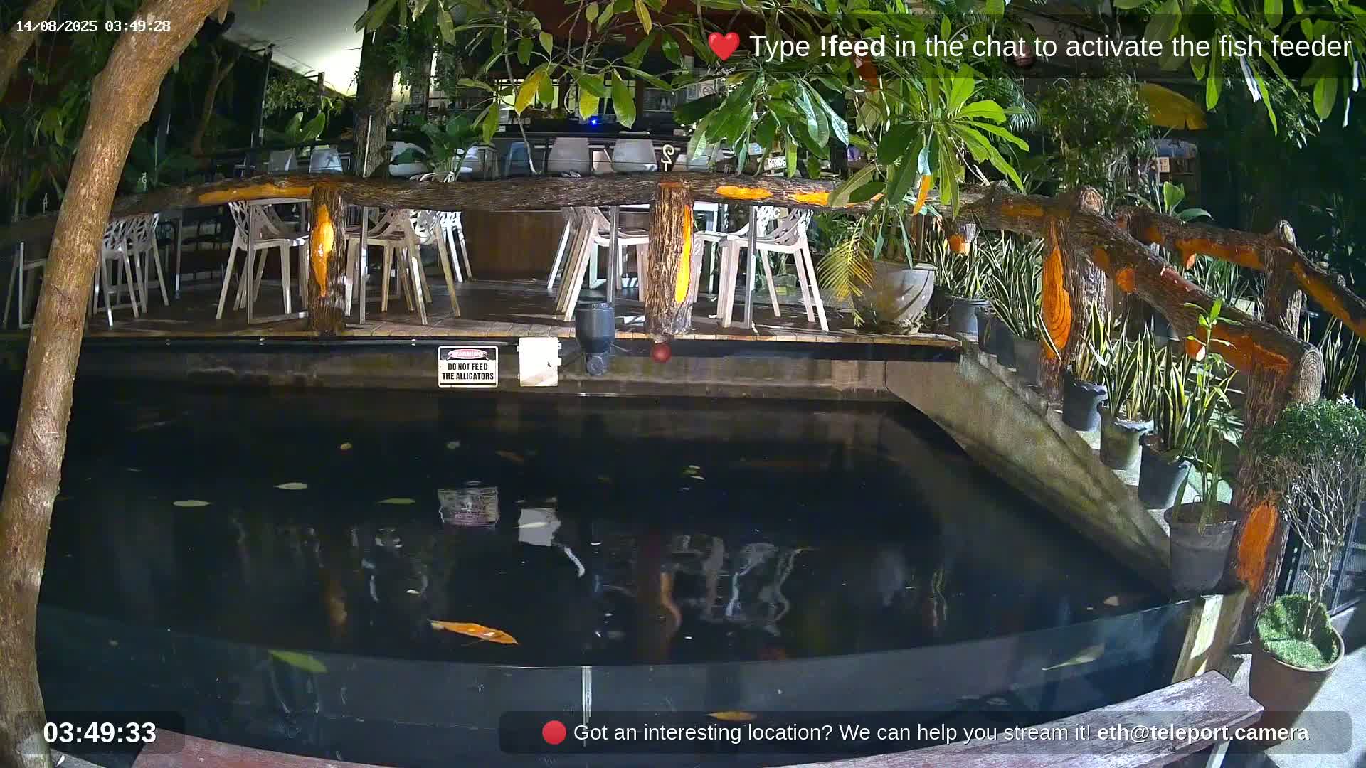 Zoo Cafe · Feed the Life of Fishes, Emus, Deers, Turtles, Malas  Live Cam  - Amphoe Ko Pha - Ngan, Surat Thani, Thailand