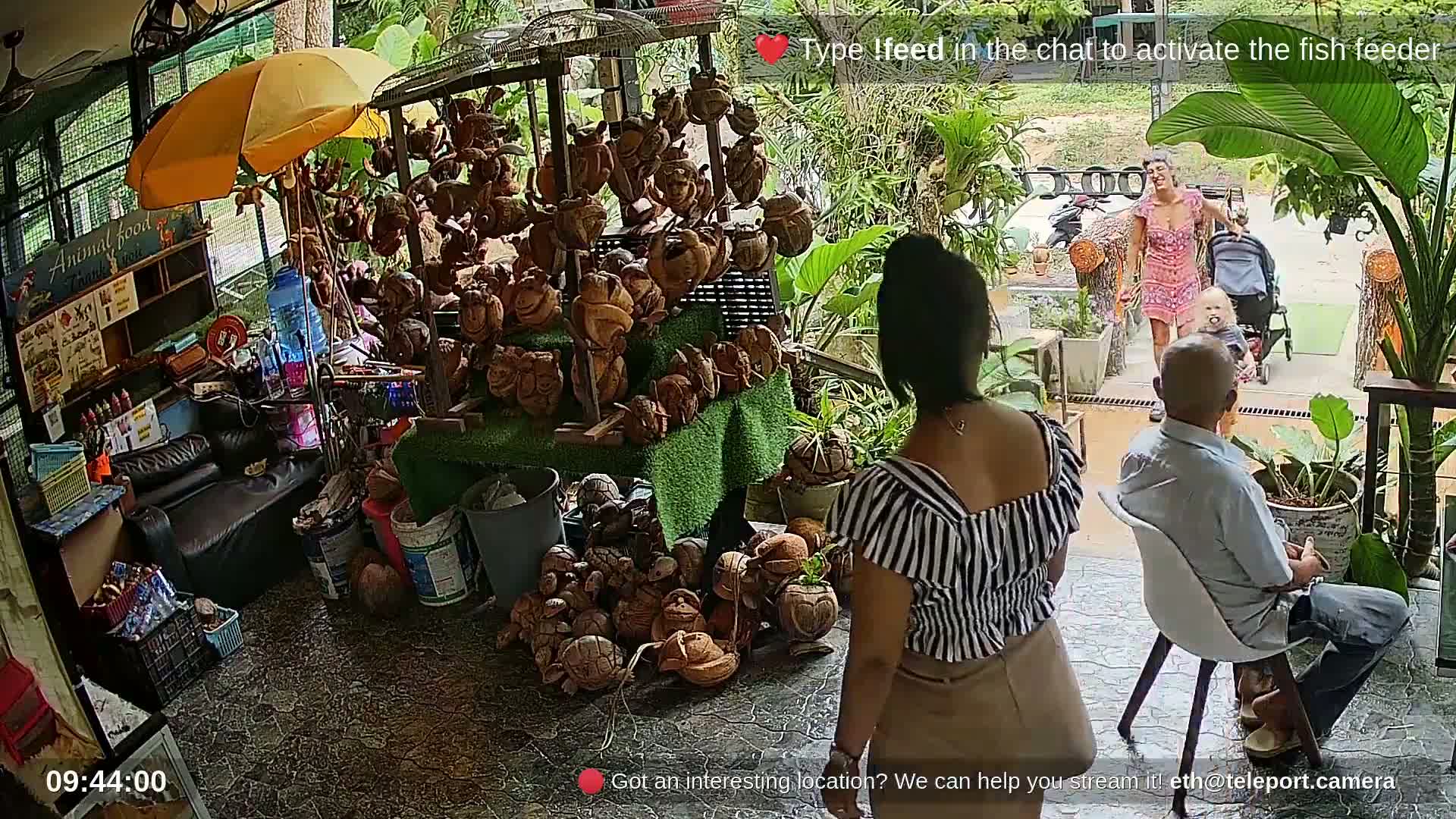 Zoo Cafe · Feed the Life of Fishes, Emus, Deers, Turtles, Malas  Live Cam  - Amphoe Ko Pha - Ngan, Surat Thani, Thailand