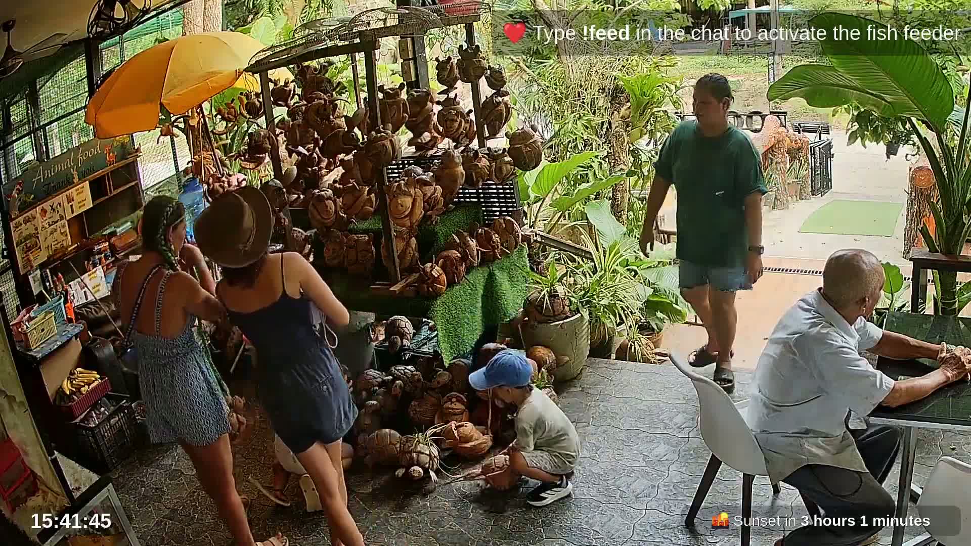 Zoo Cafe · Feed the Life of Fishes, Emus, Deers, Turtles, Malas  Live Cam  - Amphoe Ko Pha - Ngan, Surat Thani, Thailand