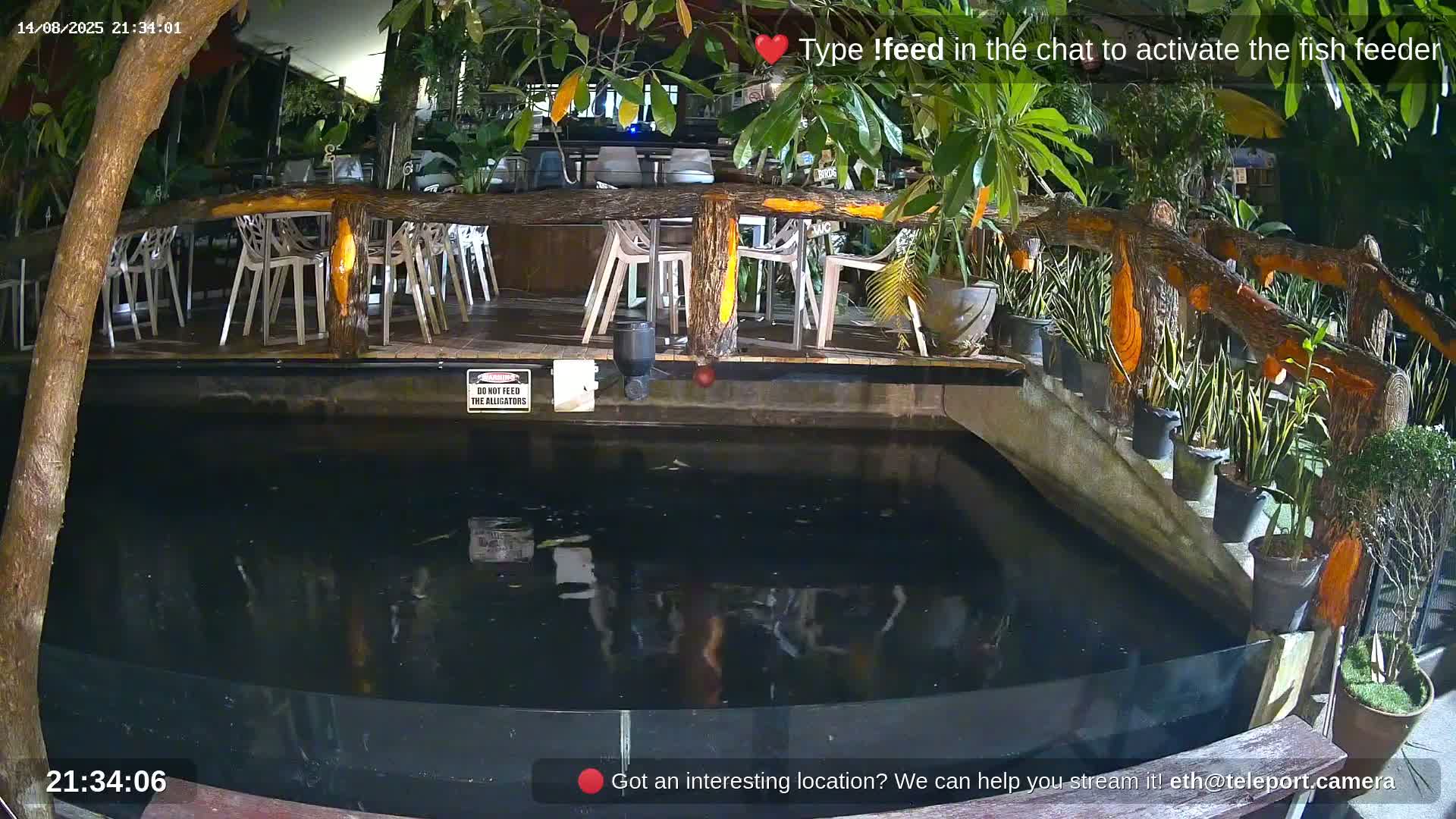 Zoo Cafe · Feed the Life of Fishes, Emus, Deers, Turtles, Malas  Live Cam  - Amphoe Ko Pha - Ngan, Surat Thani, Thailand
