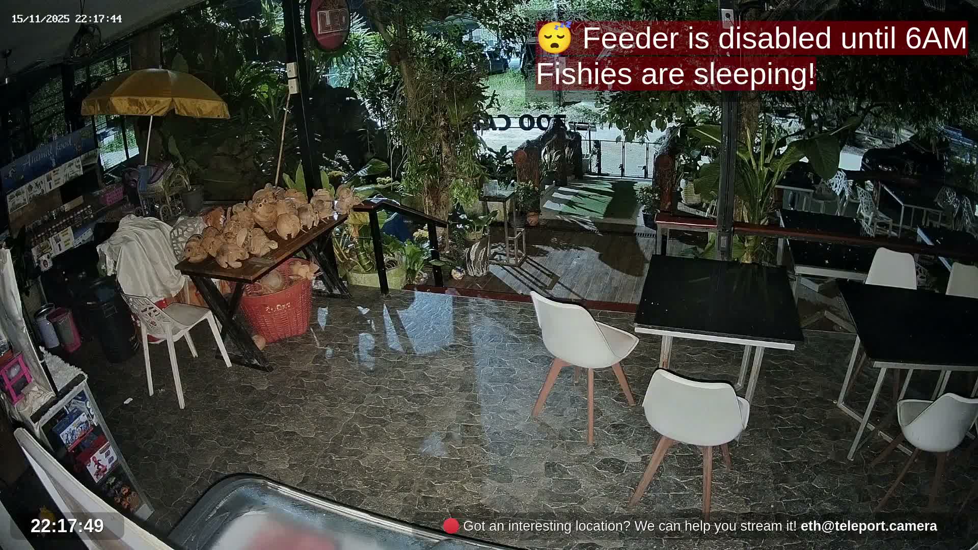 Zoo Cafe · Feed the Life of Fishes, Emus, Deers, Turtles, Malas  Live Cam  - Amphoe Ko Pha - Ngan, Surat Thani, Thailand