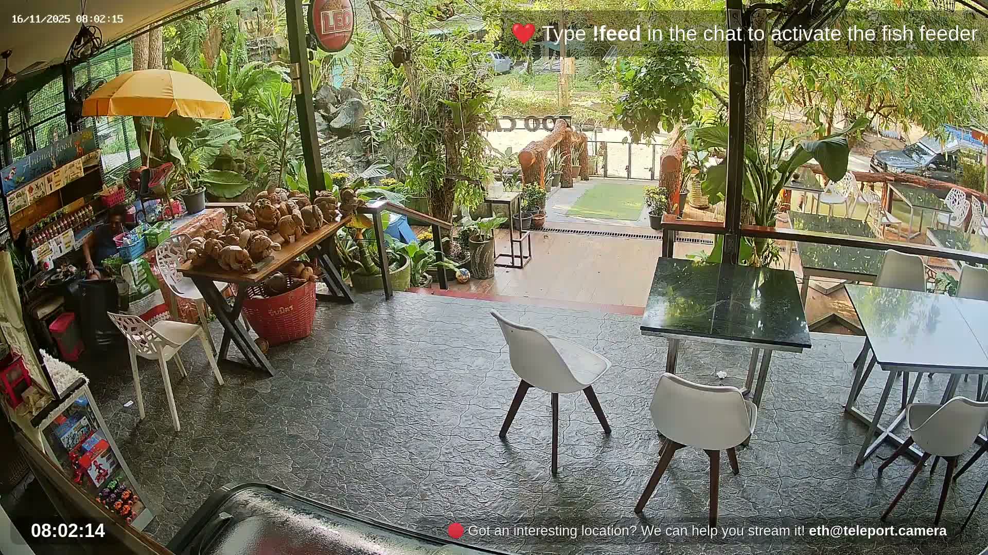 Zoo Cafe · Feed the Life of Fishes, Emus, Deers, Turtles, Malas  Live Cam  - Amphoe Ko Pha - Ngan, Surat Thani, Thailand