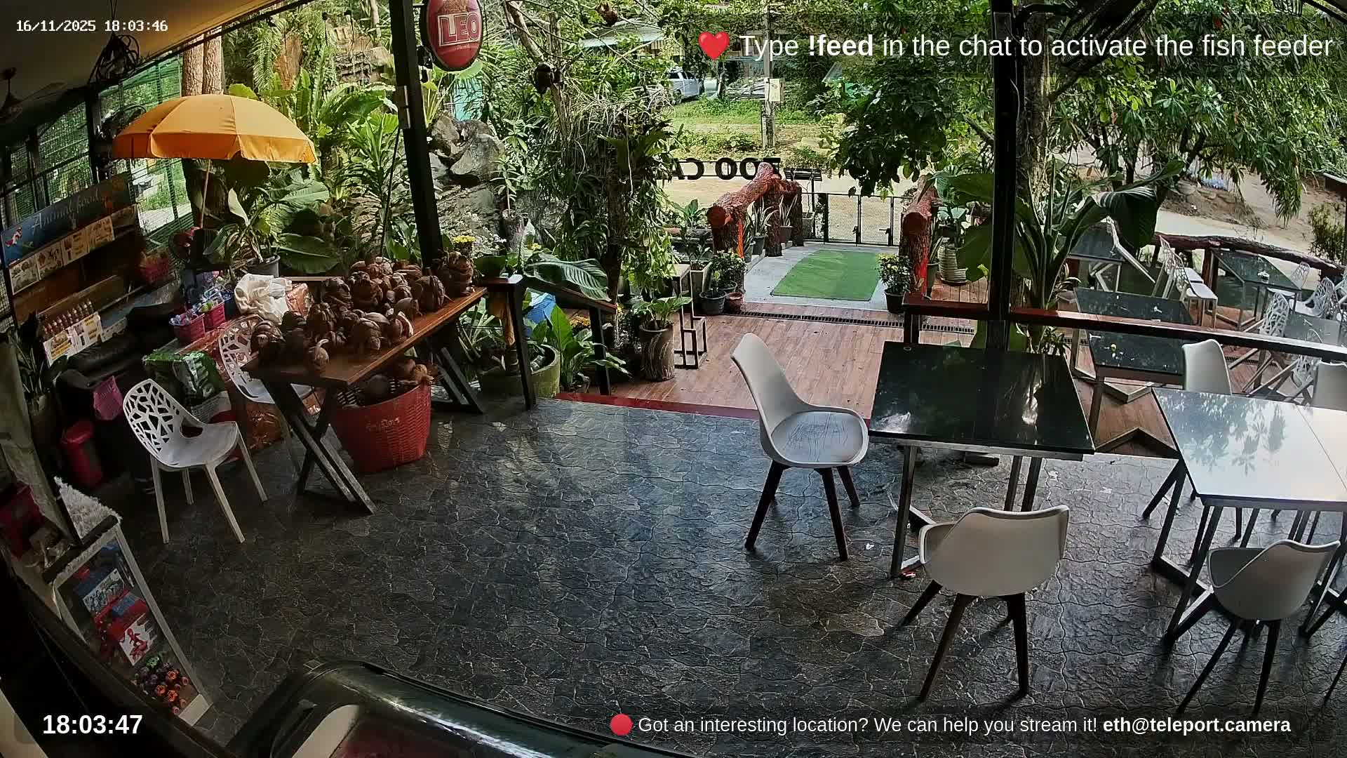 Zoo Cafe · Feed the Life of Fishes, Emus, Deers, Turtles, Malas  Live Cam  - Amphoe Ko Pha - Ngan, Surat Thani, Thailand