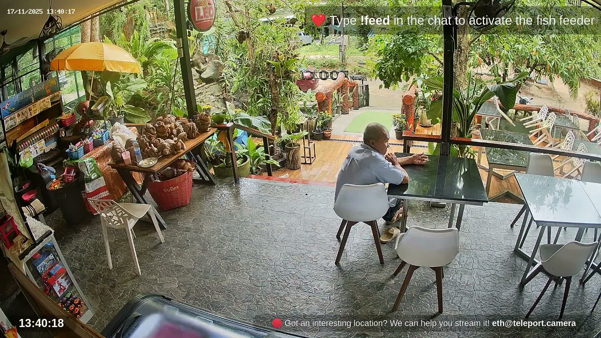 Zoo Cafe · Feed the Life of Fishes, Emus, Deers, Turtles, Malas  Live Cam  - Amphoe Ko Pha - Ngan, Surat Thani, Thailand