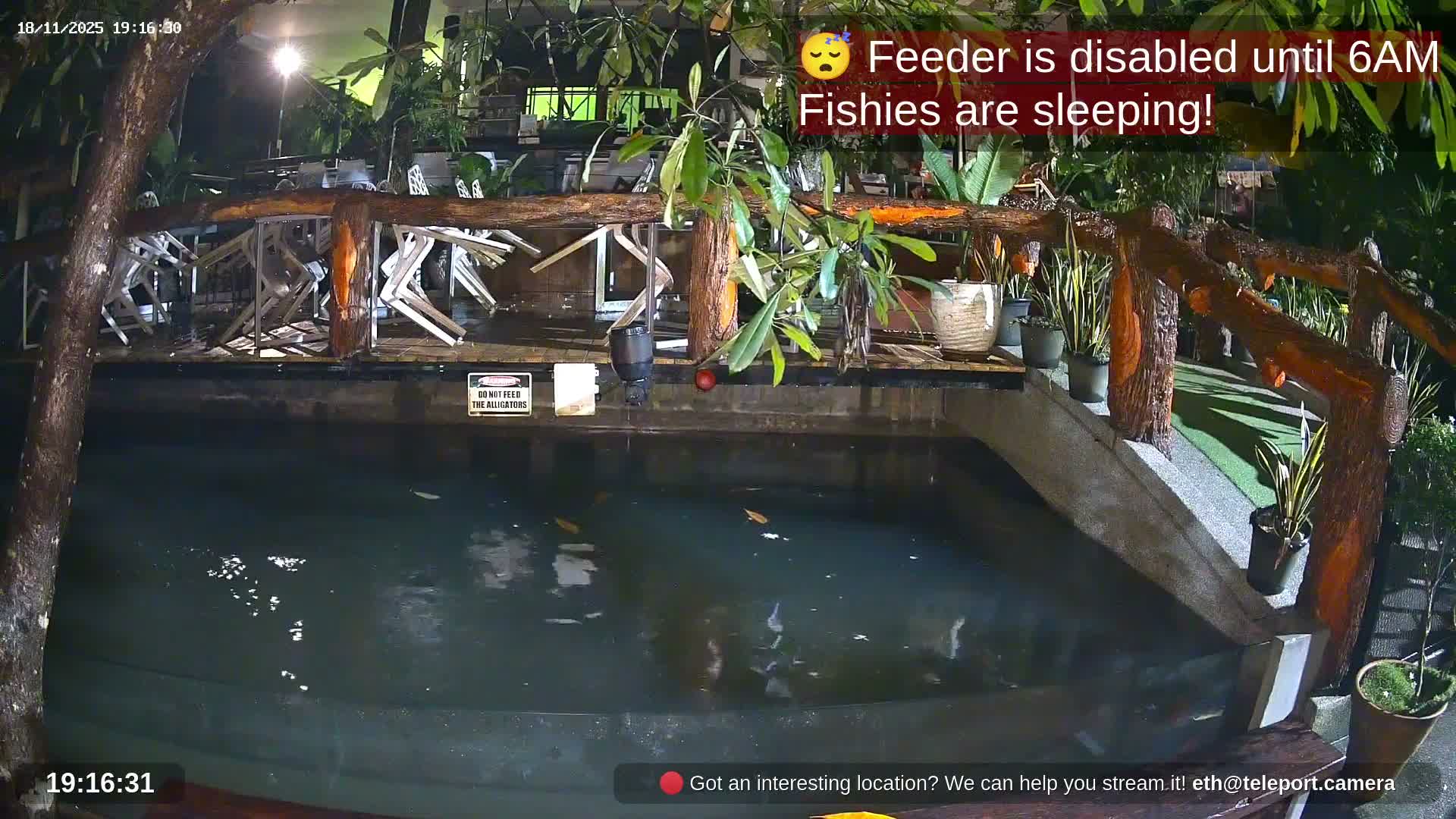 Zoo Cafe · Feed the Life of Fishes, Emus, Deers, Turtles, Malas  Live Cam  - Amphoe Ko Pha - Ngan, Surat Thani, Thailand