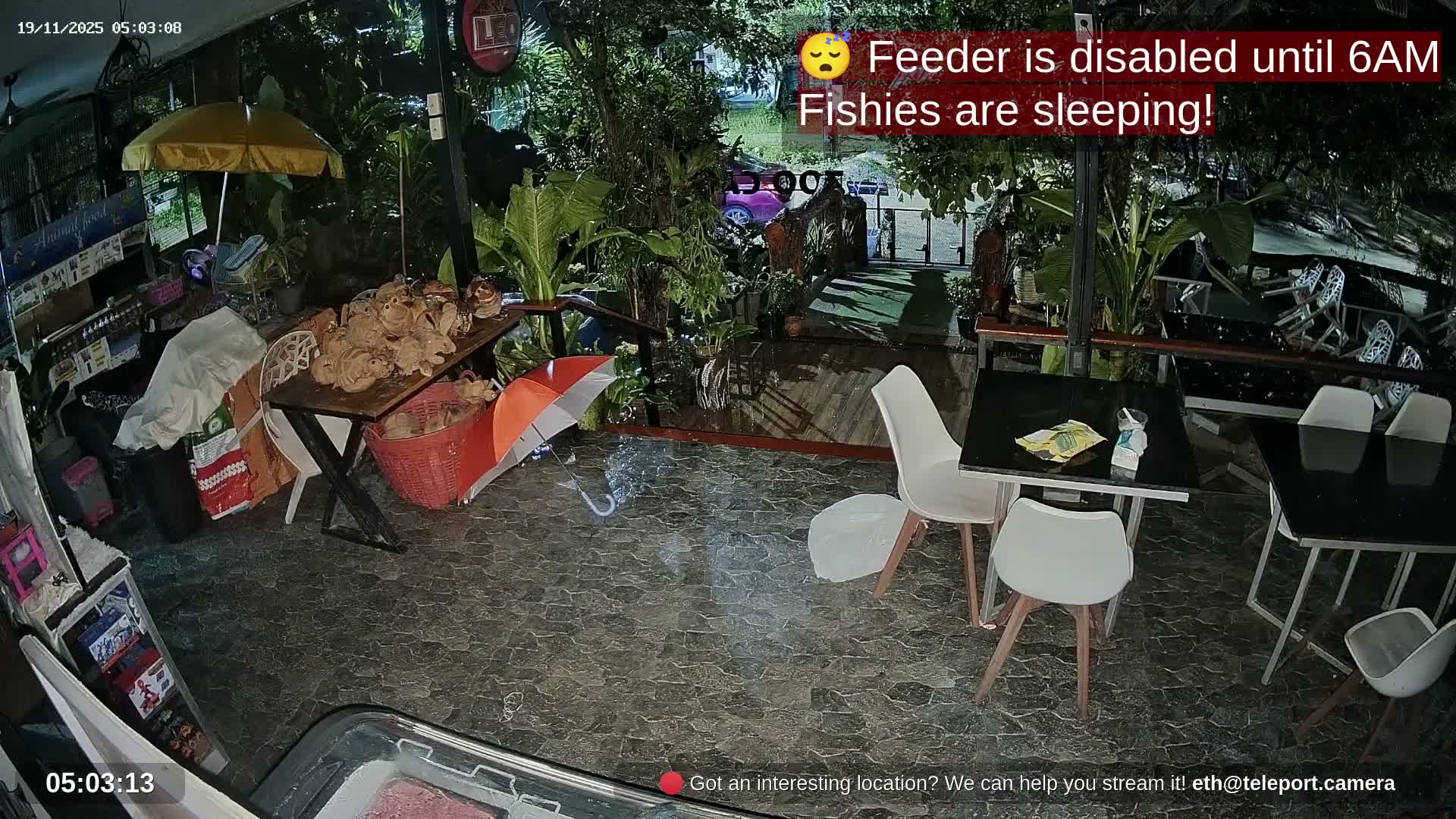 Zoo Cafe · Feed the Life of Fishes, Emus, Deers, Turtles, Malas  Live Cam  - Amphoe Ko Pha - Ngan, Surat Thani, Thailand