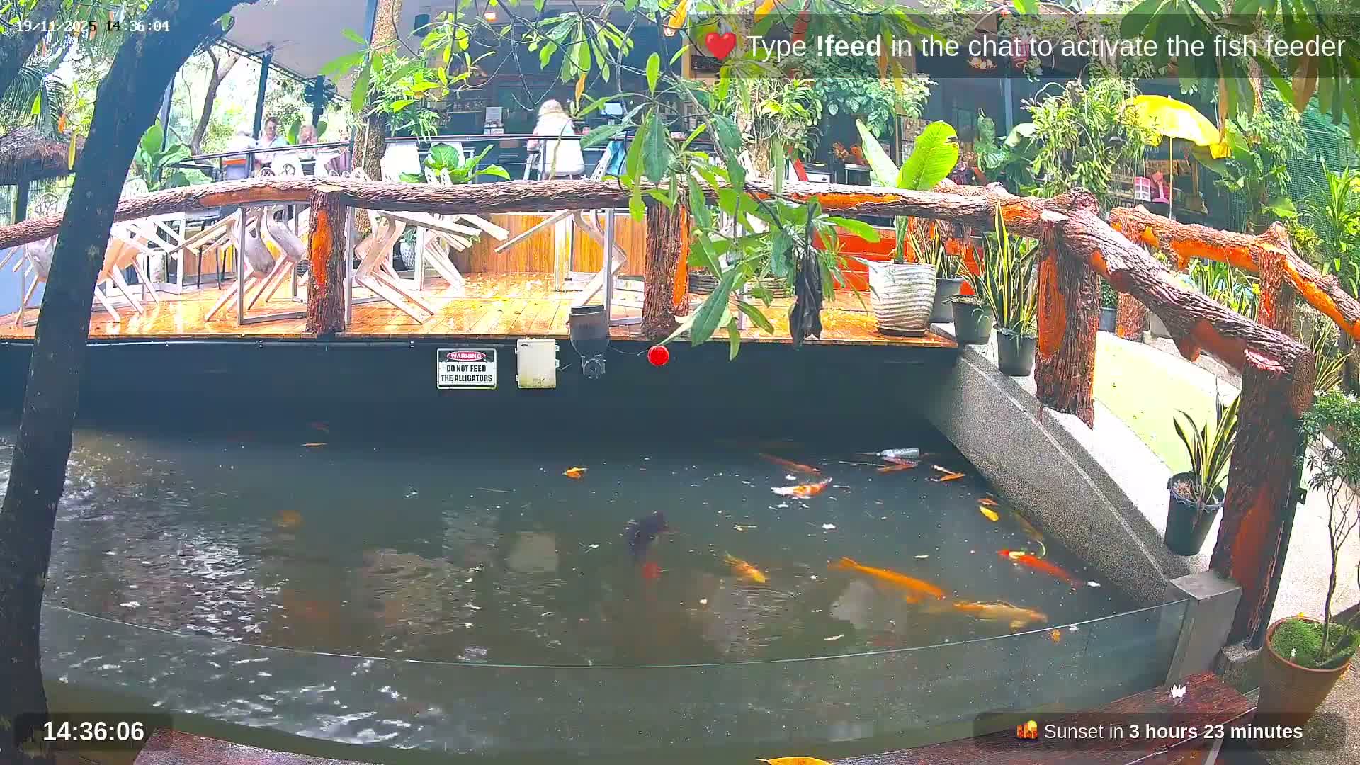 Zoo Cafe · Feed the Life of Fishes, Emus, Deers, Turtles, Malas  Live Cam  - Amphoe Ko Pha - Ngan, Surat Thani, Thailand