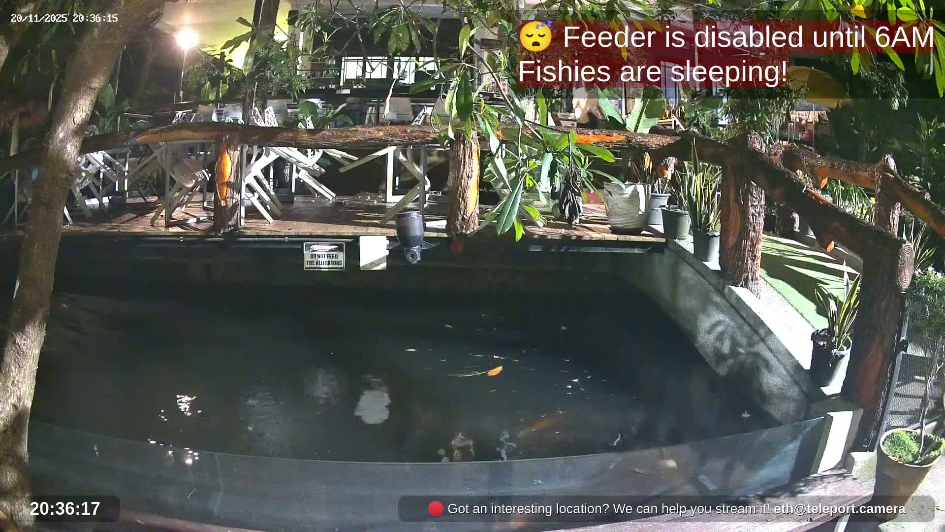 Zoo Cafe · Feed the Life of Fishes, Emus, Deers, Turtles, Malas  Live Cam  - Amphoe Ko Pha - Ngan, Surat Thani, Thailand
