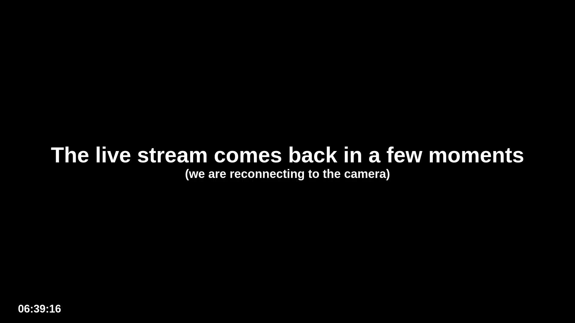 Zoo Cafe · Feed the Life of Fishes, Emus, Deers, Turtles, Malas  Live Cam  - Amphoe Ko Pha - Ngan, Surat Thani, Thailand