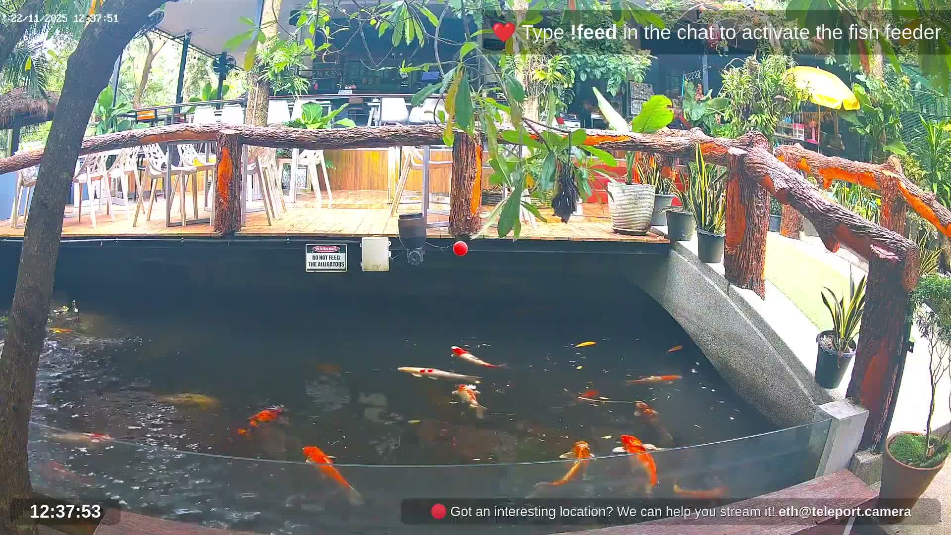 Zoo Cafe · Feed the Life of Fishes, Emus, Deers, Turtles, Malas  Live Cam  - Amphoe Ko Pha - Ngan, Surat Thani, Thailand