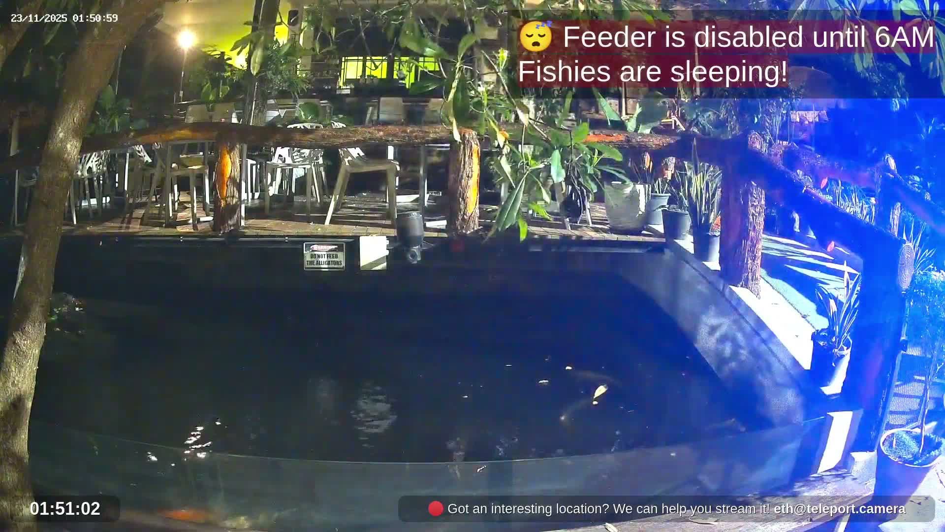 Zoo Cafe · Feed the Life of Fishes, Emus, Deers, Turtles, Malas  Live Cam  - Amphoe Ko Pha - Ngan, Surat Thani, Thailand