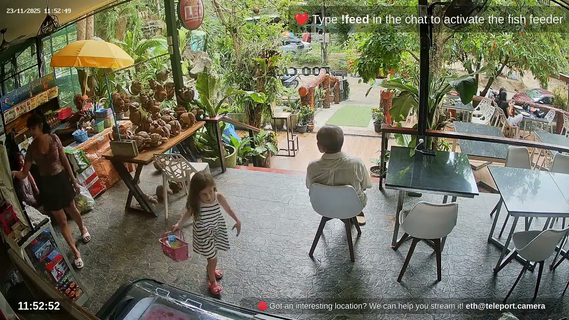 Zoo Cafe · Feed the Life of Fishes, Emus, Deers, Turtles, Malas  Live Cam  - Amphoe Ko Pha - Ngan, Surat Thani, Thailand