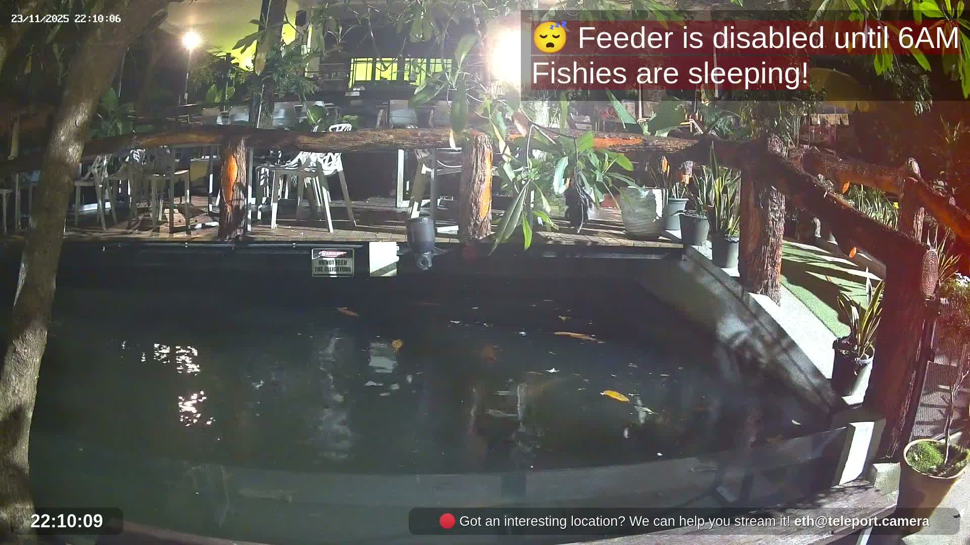 Zoo Cafe · Feed the Life of Fishes, Emus, Deers, Turtles, Malas  Live Cam  - Amphoe Ko Pha - Ngan, Surat Thani, Thailand