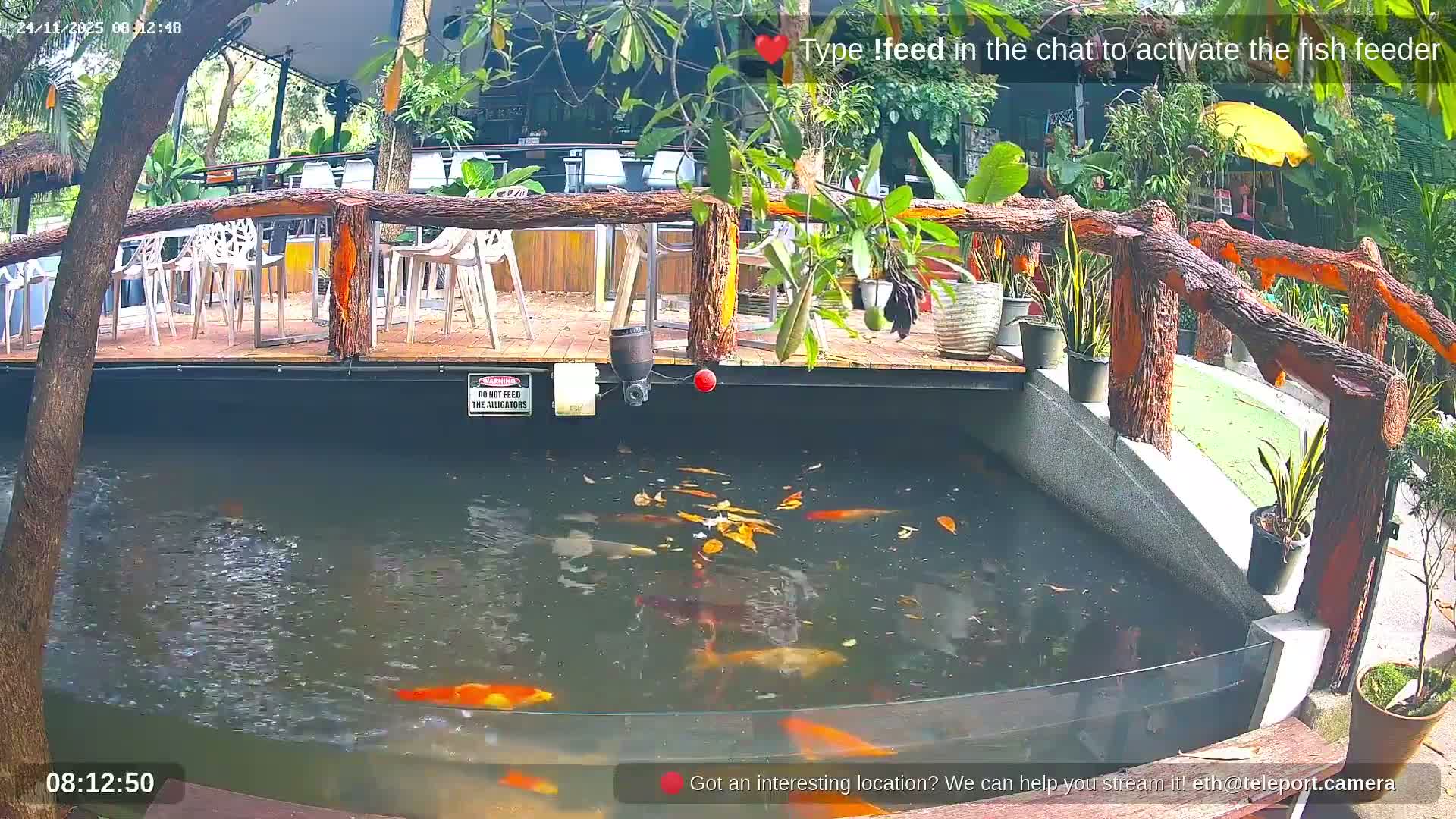 Zoo Cafe · Feed the Life of Fishes, Emus, Deers, Turtles, Malas  Live Cam  - Amphoe Ko Pha - Ngan, Surat Thani, Thailand