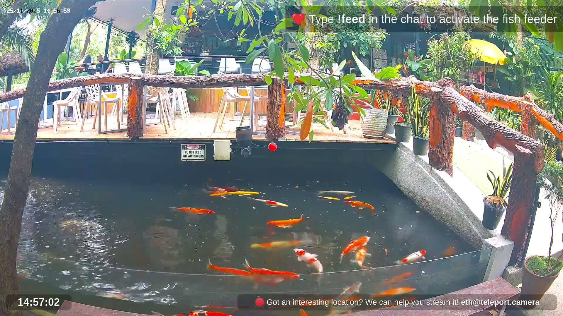 Zoo Cafe · Feed the Life of Fishes, Emus, Deers, Turtles, Malas  Live Cam  - Amphoe Ko Pha - Ngan, Surat Thani, Thailand