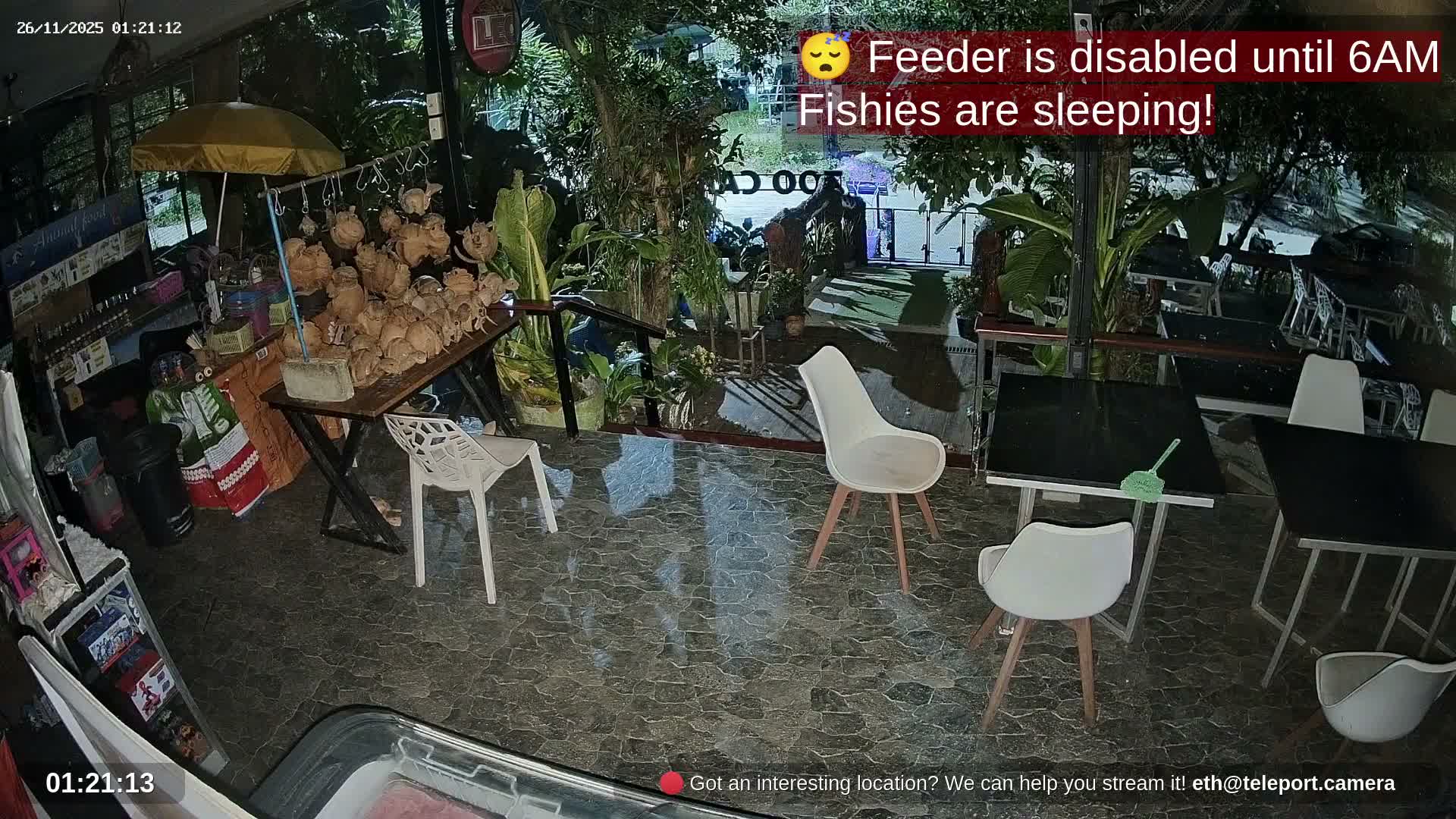 Zoo Cafe · Feed the Life of Fishes, Emus, Deers, Turtles, Malas  Live Cam  - Amphoe Ko Pha - Ngan, Surat Thani, Thailand