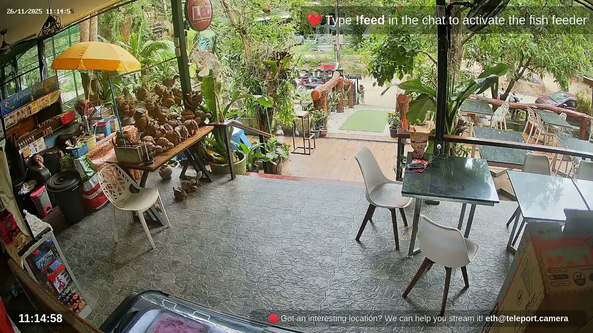 Zoo Cafe · Feed the Life of Fishes, Emus, Deers, Turtles, Malas  Live Cam  - Amphoe Ko Pha - Ngan, Surat Thani, Thailand