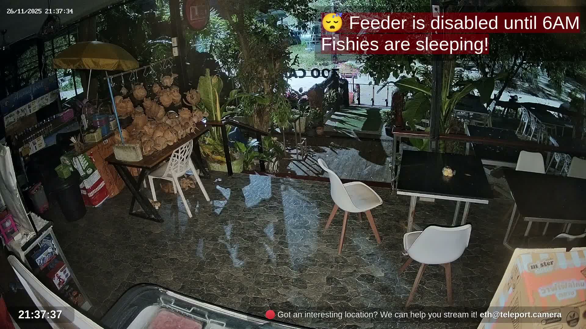 Zoo Cafe · Feed the Life of Fishes, Emus, Deers, Turtles, Malas  Live Cam  - Amphoe Ko Pha - Ngan, Surat Thani, Thailand