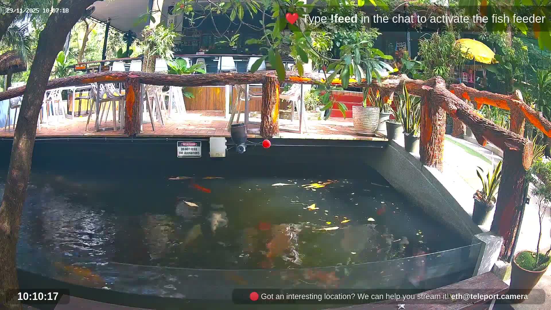 Zoo Cafe · Feed the Life of Fishes, Emus, Deers, Turtles, Malas  Live Cam  - Amphoe Ko Pha - Ngan, Surat Thani, Thailand