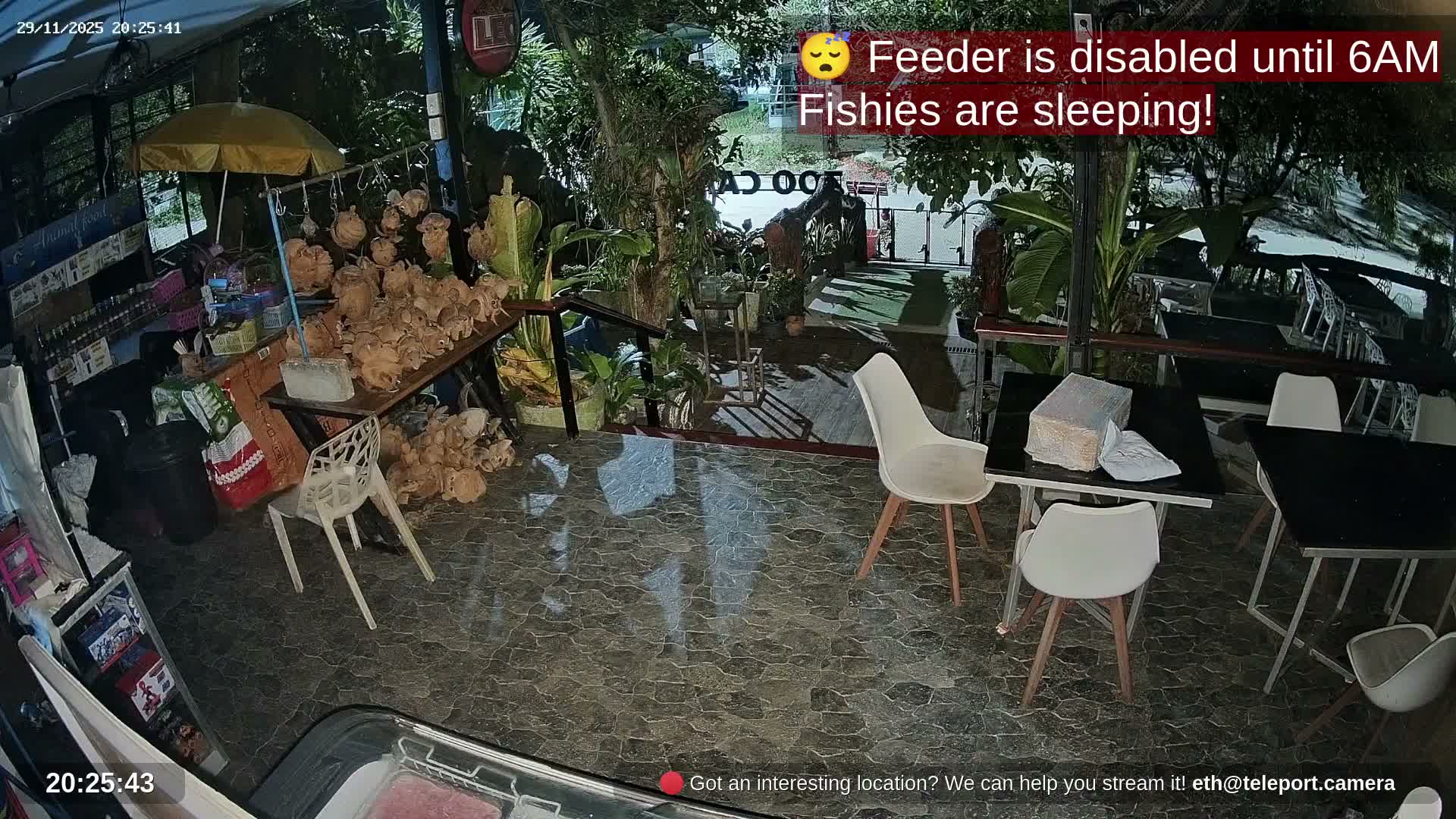 Zoo Cafe · Feed the Life of Fishes, Emus, Deers, Turtles, Malas  Live Cam  - Amphoe Ko Pha - Ngan, Surat Thani, Thailand