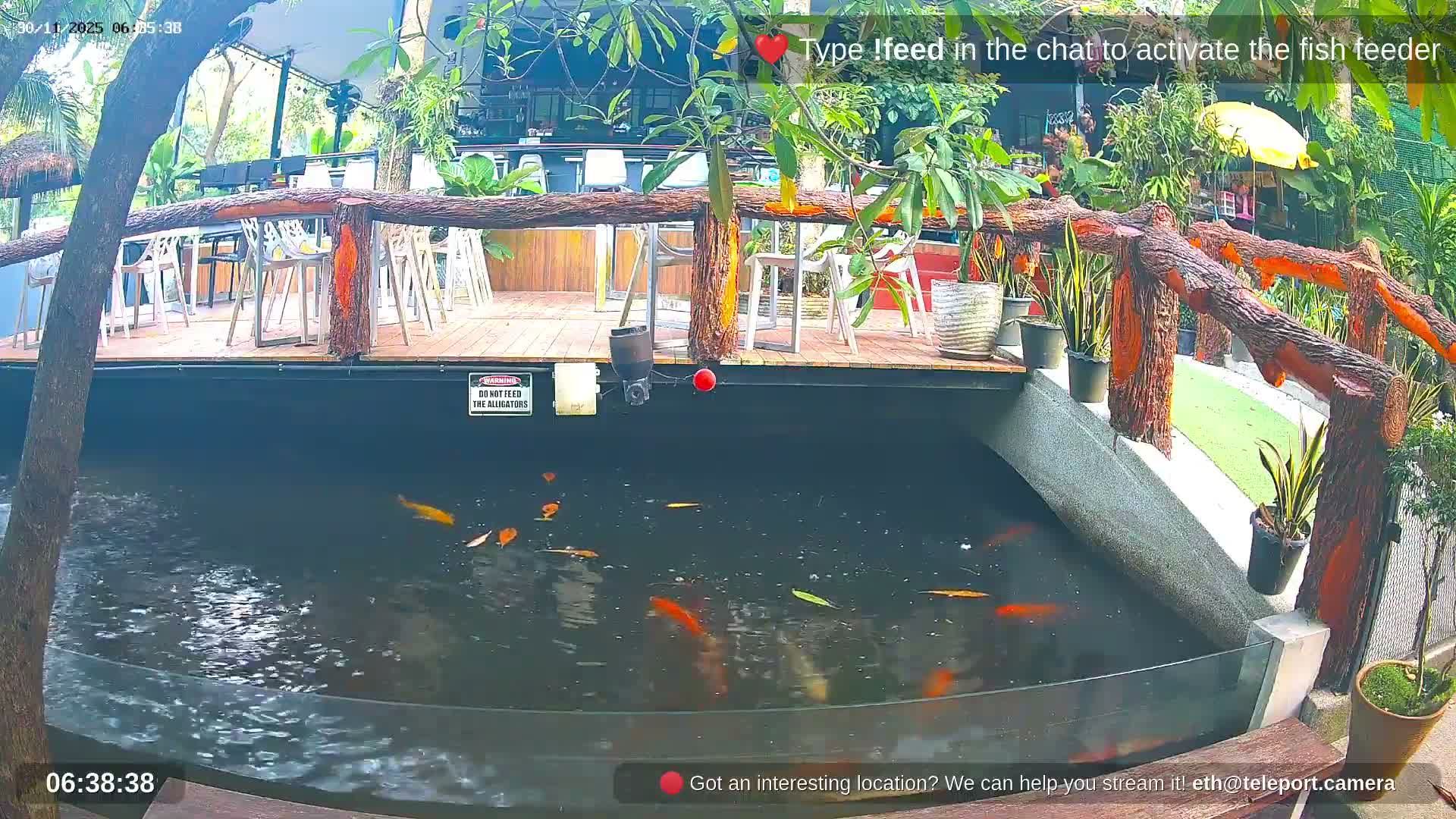 Zoo Cafe · Feed the Life of Fishes, Emus, Deers, Turtles, Malas  Live Cam  - Amphoe Ko Pha - Ngan, Surat Thani, Thailand