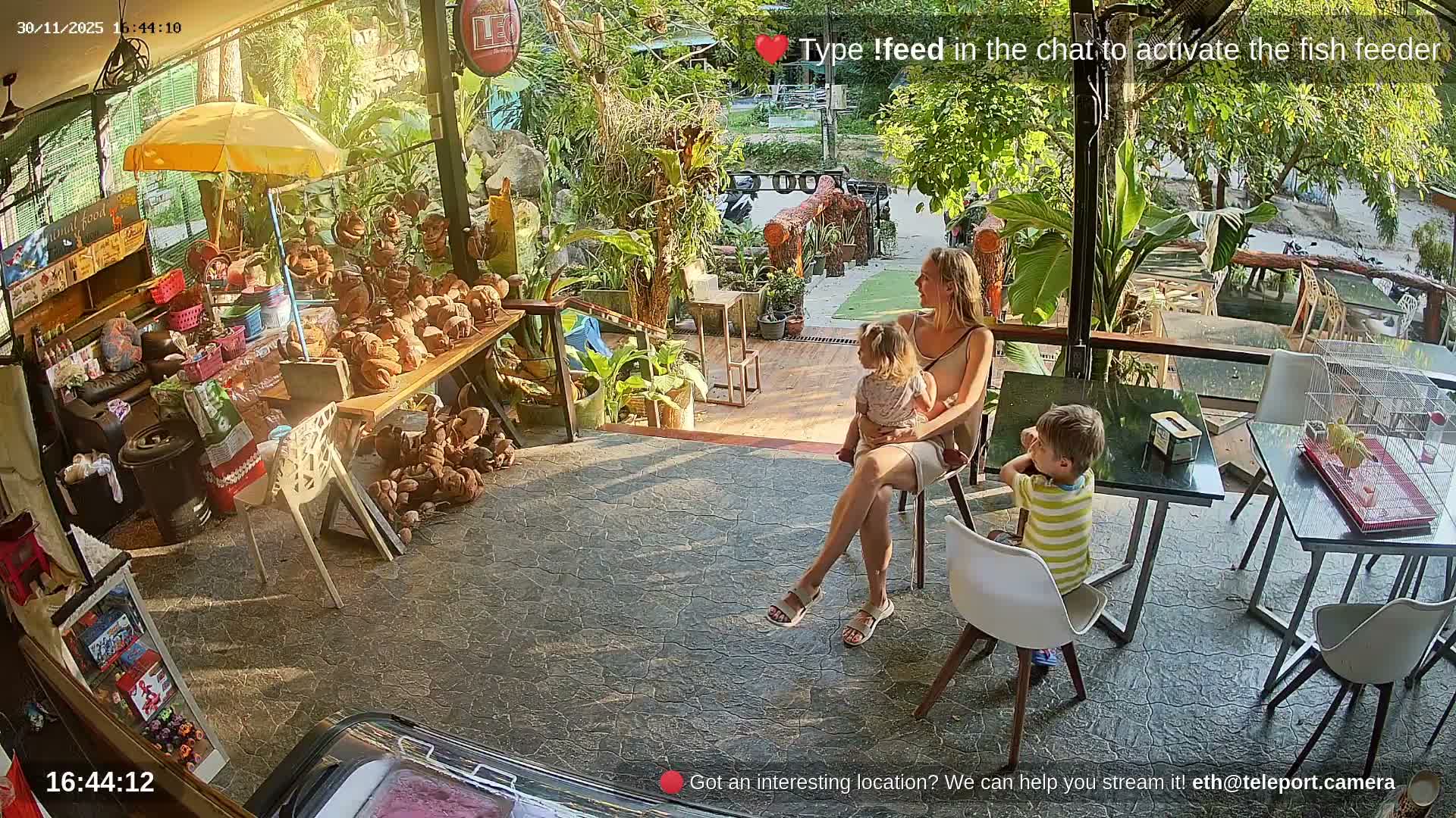 Zoo Cafe · Feed the Life of Fishes, Emus, Deers, Turtles, Malas  Live Cam  - Amphoe Ko Pha - Ngan, Surat Thani, Thailand