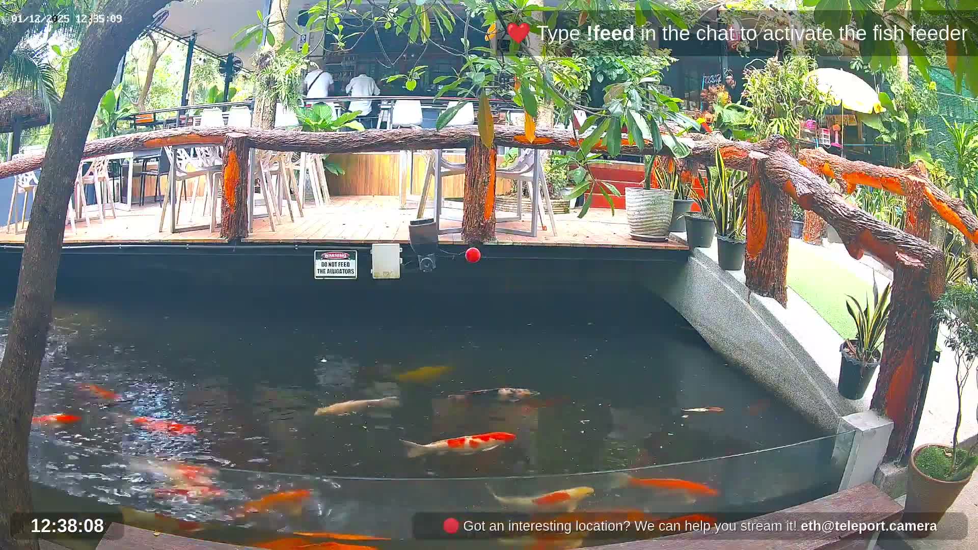 Zoo Cafe · Feed the Life of Fishes, Emus, Deers, Turtles, Malas  Live Cam  - Amphoe Ko Pha - Ngan, Surat Thani, Thailand
