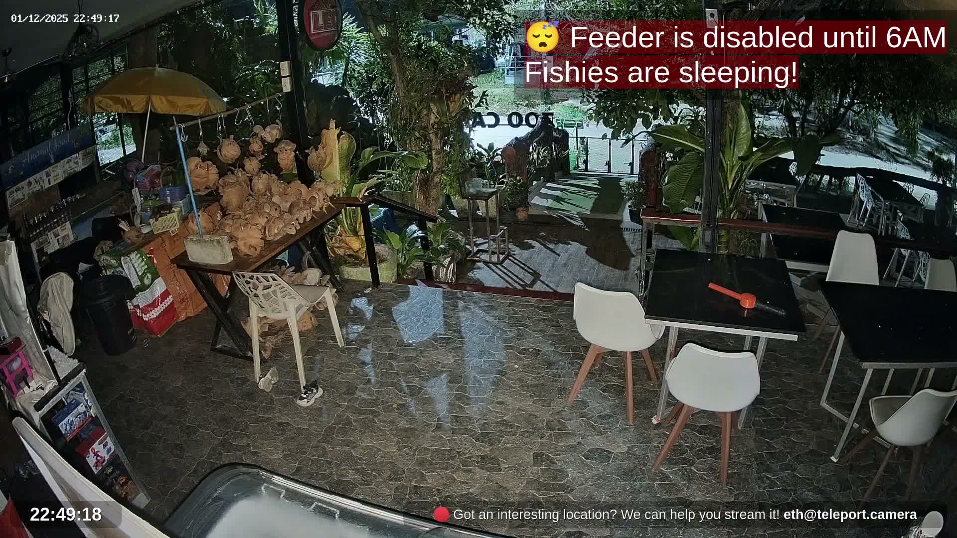 Zoo Cafe · Feed the Life of Fishes, Emus, Deers, Turtles, Malas  Live Cam  - Amphoe Ko Pha - Ngan, Surat Thani, Thailand