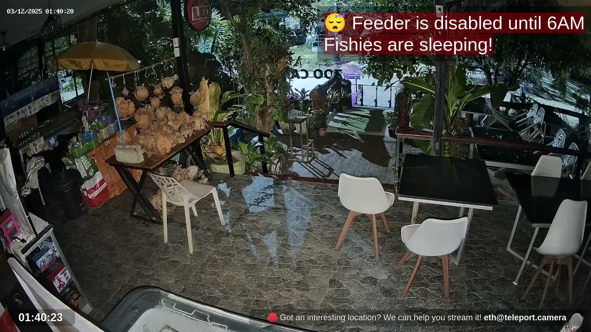 Zoo Cafe · Feed the Life of Fishes, Emus, Deers, Turtles, Malas  Live Cam  - Amphoe Ko Pha - Ngan, Surat Thani, Thailand