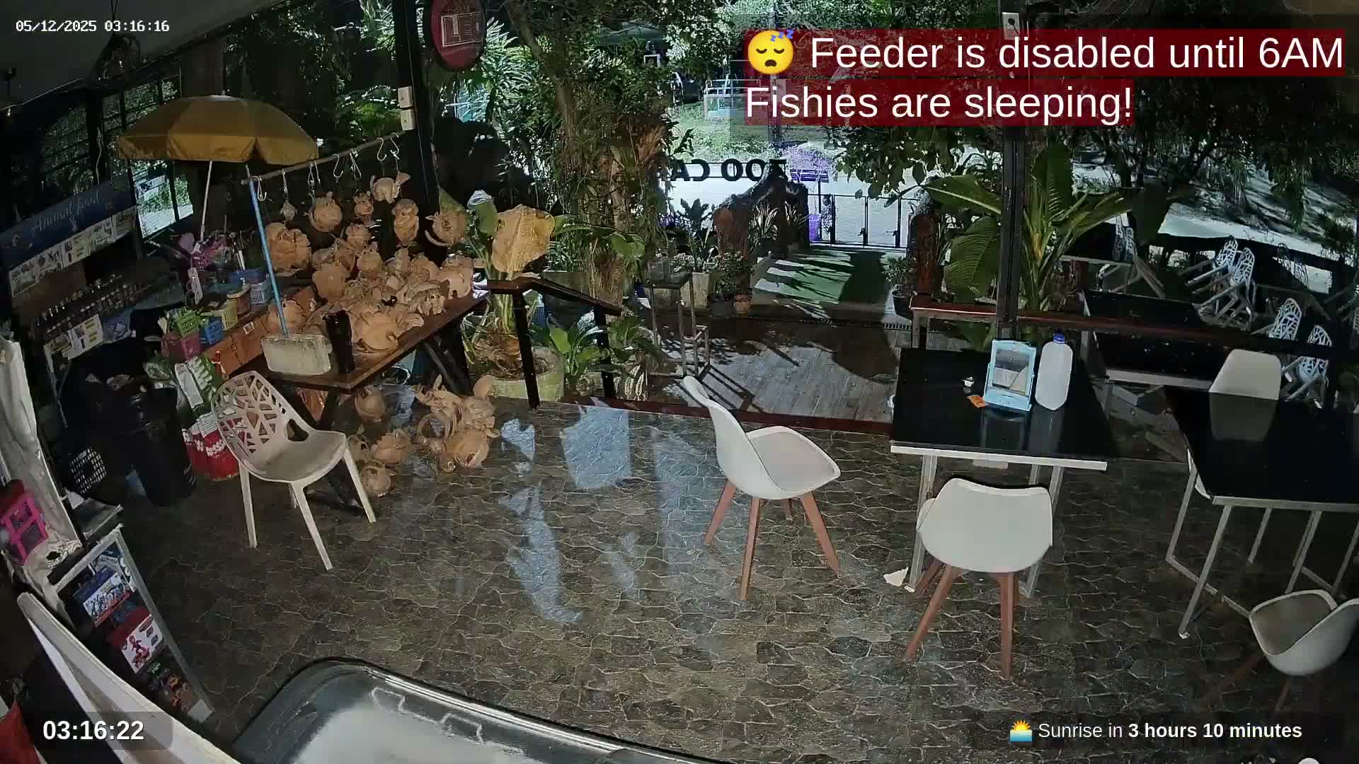 Zoo Cafe · Feed the Life of Fishes, Emus, Deers, Turtles, Malas  Live Cam  - Amphoe Ko Pha - Ngan, Surat Thani, Thailand