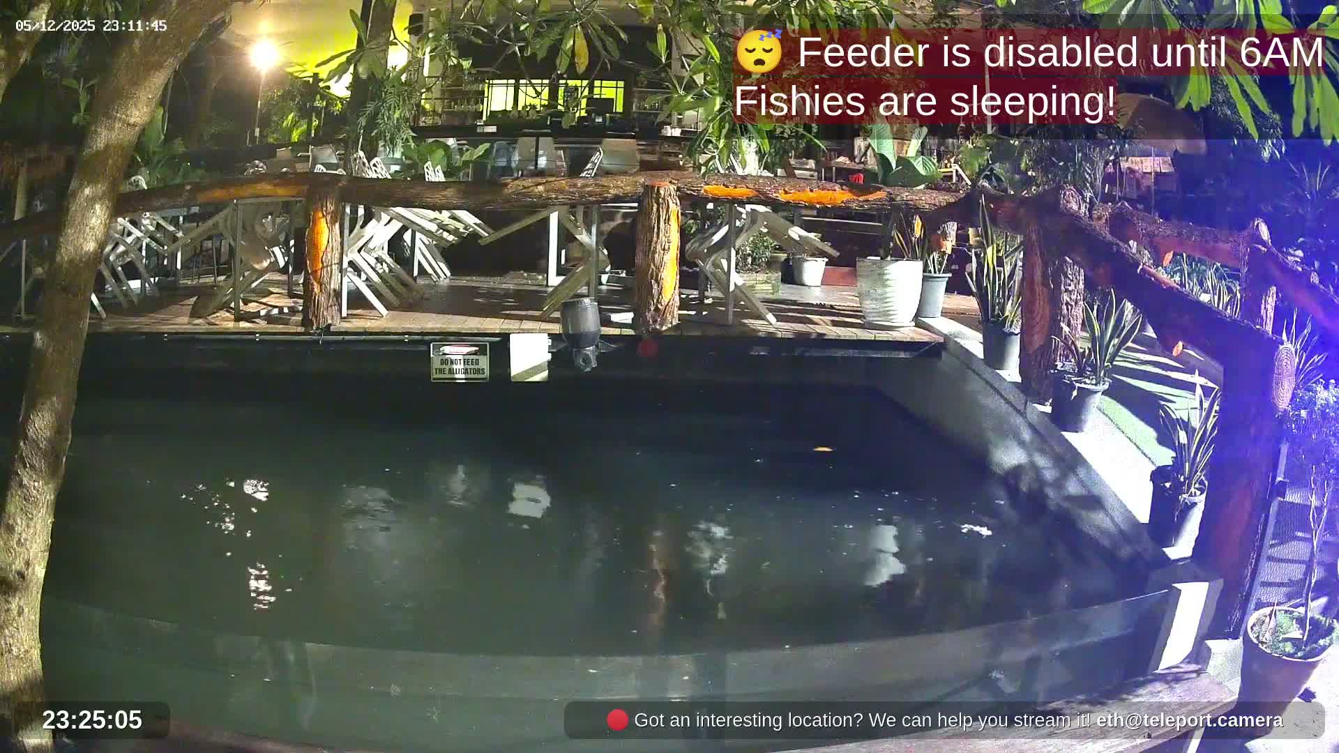 Zoo Cafe · Feed the Life of Fishes, Emus, Deers, Turtles, Malas  Live Cam  - Amphoe Ko Pha - Ngan, Surat Thani, Thailand