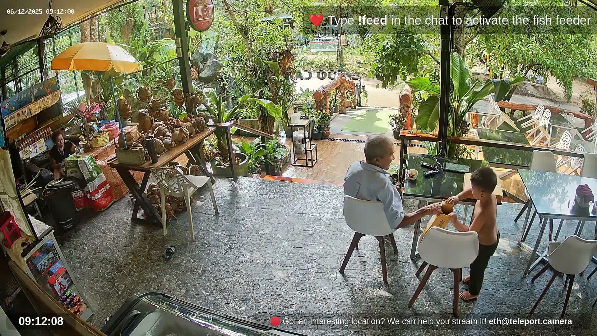 Zoo Cafe · Feed the Life of Fishes, Emus, Deers, Turtles, Malas  Live Cam  - Amphoe Ko Pha - Ngan, Surat Thani, Thailand