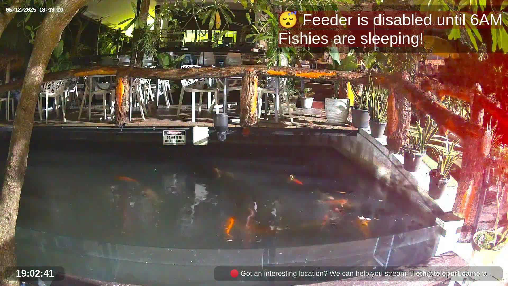 Zoo Cafe · Feed the Life of Fishes, Emus, Deers, Turtles, Malas  Live Cam  - Amphoe Ko Pha - Ngan, Surat Thani, Thailand