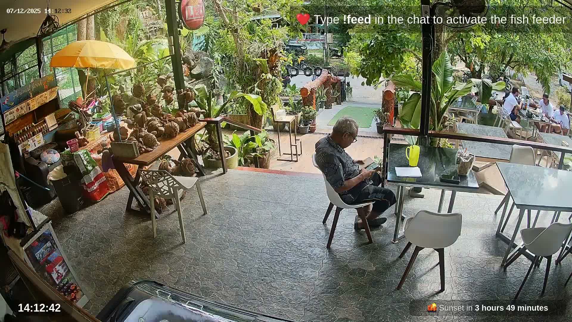 Zoo Cafe · Feed the Life of Fishes, Emus, Deers, Turtles, Malas  Live Cam  - Amphoe Ko Pha - Ngan, Surat Thani, Thailand