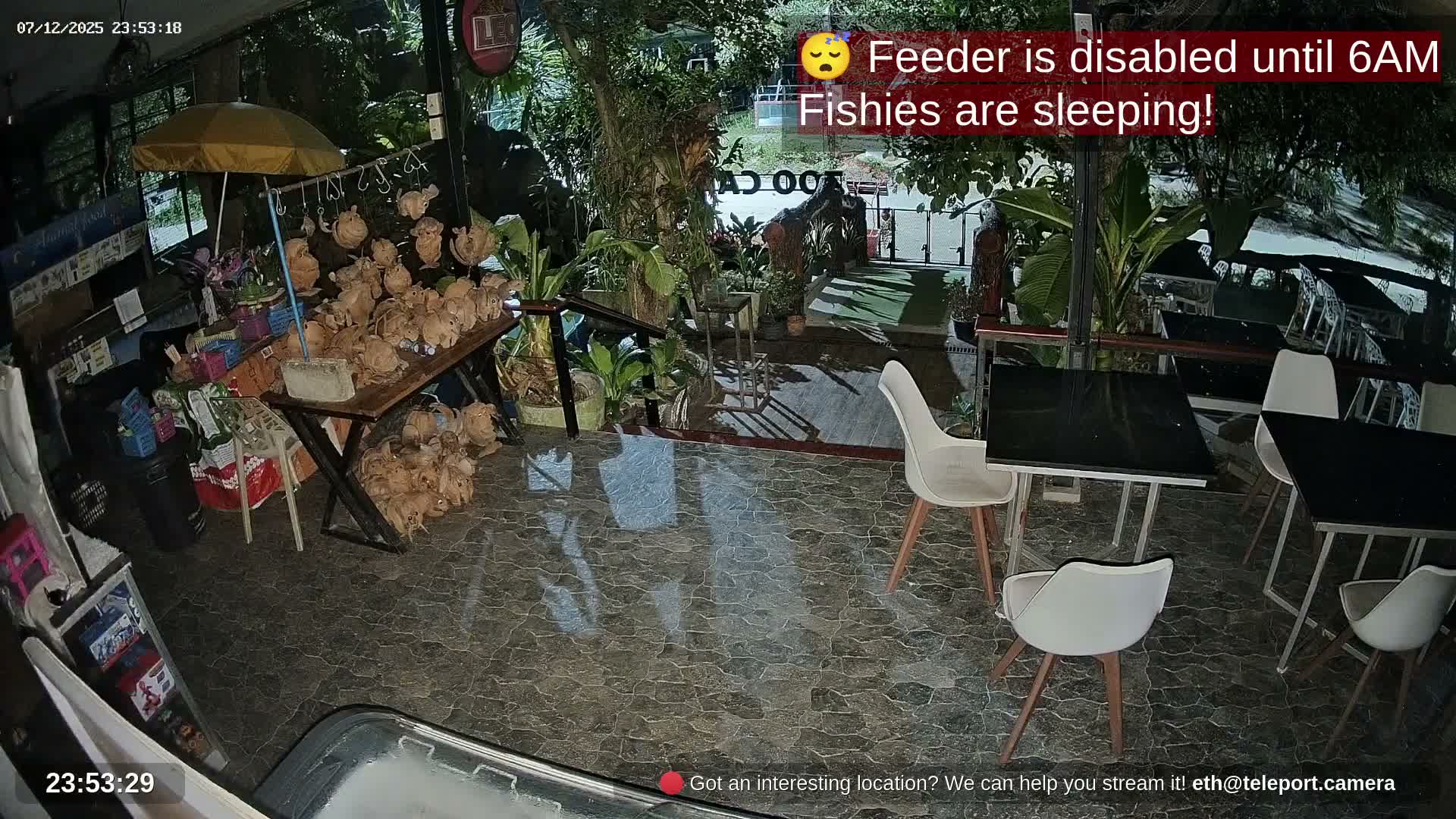 Zoo Cafe · Feed the Life of Fishes, Emus, Deers, Turtles, Malas  Live Cam  - Amphoe Ko Pha - Ngan, Surat Thani, Thailand