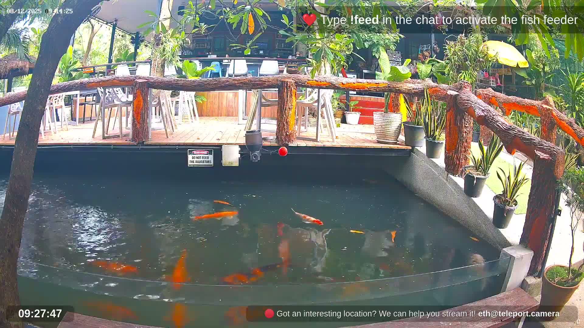 Zoo Cafe · Feed the Life of Fishes, Emus, Deers, Turtles, Malas  Live Cam  - Amphoe Ko Pha - Ngan, Surat Thani, Thailand