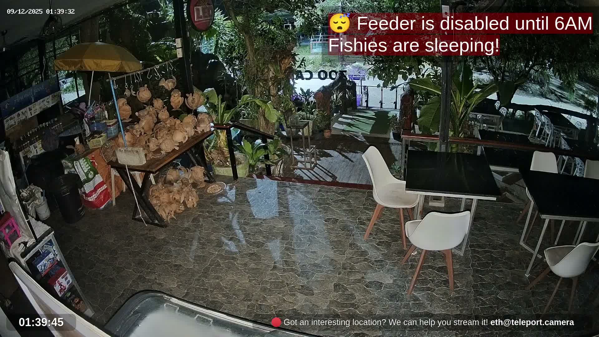 Zoo Cafe · Feed the Life of Fishes, Emus, Deers, Turtles, Malas  Live Cam  - Amphoe Ko Pha - Ngan, Surat Thani, Thailand