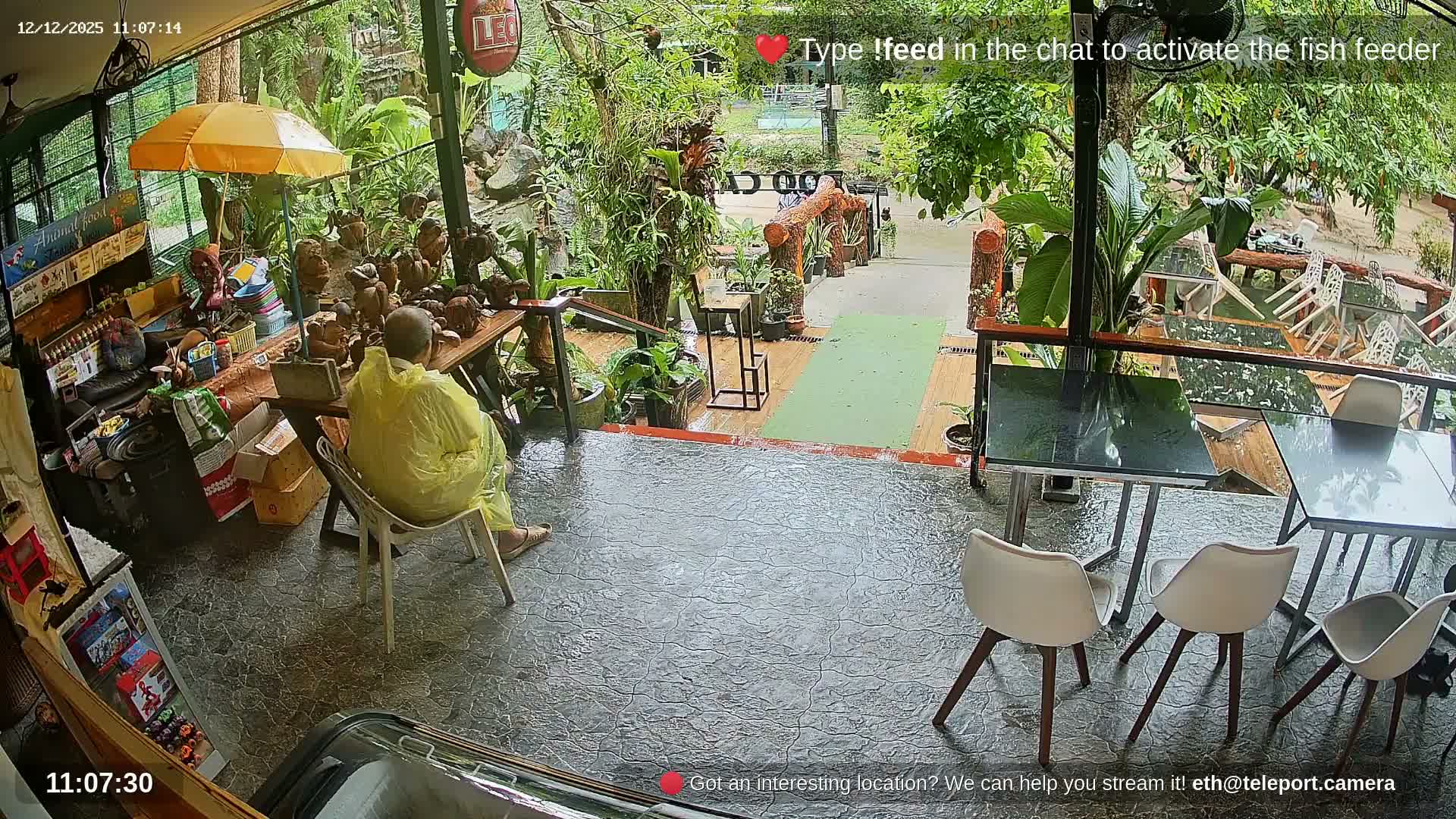 Zoo Cafe · Feed the Life of Fishes, Emus, Deers, Turtles, Malas  Live Cam  - Amphoe Ko Pha - Ngan, Surat Thani, Thailand